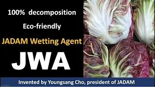 How to make powerful natural agriculture surfactant (JADAM Wetting Agent)