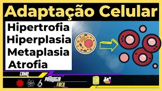 Adaptações celulares: Hipertrofia; Hiperplasia; Atrofia; Metaplasia [Atualizado]