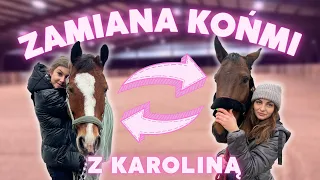 ZAMIANA KOŃMI Z KAROLINĄ 🔁