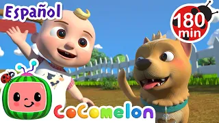 Bingo en la granja | Canciones Infantiles | Caricaturas para bebés | CoComelon en Español