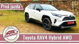 Toyota RAV4 Hybrid 2WD/4WD 2019 TEST