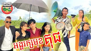 អង្គរក្សមុខគុជ 😎🤣 funny video Team