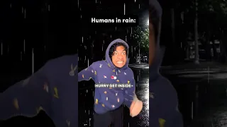 How it is for Humans in the Rain VS Ants in the Rain 🐜 #comedy