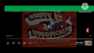 Woody Woodpecker Theme Song (1951-1960)