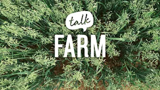 FarmTalk N°7: Regenerative Landwirtschaft