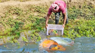 Unique Fishing Trap ll Hacks Fishing Method Use Plastic Box in the Under Water