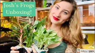 Josh's Frogs Unboxing for a Tiger Salamander!