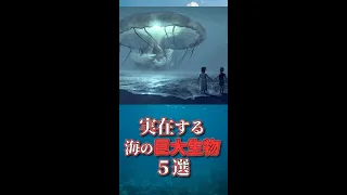 【#shorts】海の巨大生物ランキング5選【ゆっくり解説】