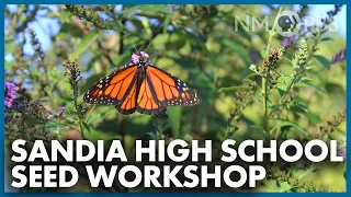 River for Monarchs: Sandia High School Seed Workshop