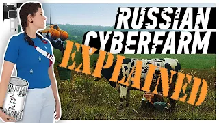 15 THINGS about RUSSIAN CYBERFARM that foreigners DON'T GET