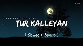 Tur Kalleyan - Lofi (Slowed + Reverb) | Arijit Singh, Shadab Faridi, Altamash Faridi | SR Lofi