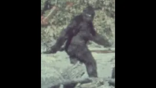 Bigfoot in Maine!!!!!!!!