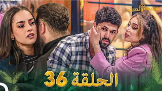 قسمة ونصيب الحلقة 36 - Qesma w Naseeb