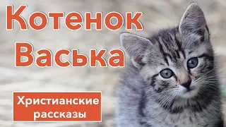 Котенок Васька -  ИНТЕРЕСНЫЙ ХРИСТИАНСКИЙ РАССКАЗ | Христианские рассказы