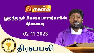 🔴 LIVE 02 November  2023 Holy Mass in Tamil 06:00 PM (Evening Mass) | Madha TV