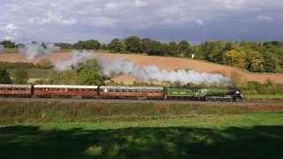 2015 UK steam locomotive review featuring 60163, 5043 & 61306