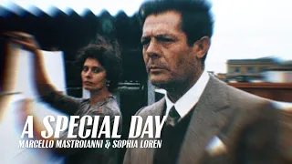 Special Scenes of A Special Day | Marcello Mastroianni & Sophia Loren