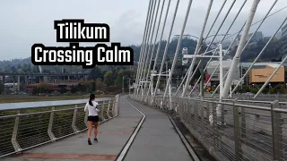 Relaxing view on Portland streets: Tilikum Crossing