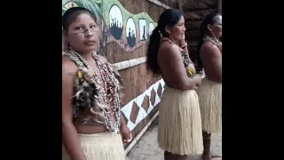 AMAZON BRAZIL local tribes