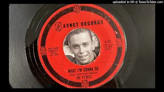 The Vy-Dels - What I'm Gonna Do (Arnet) 1965