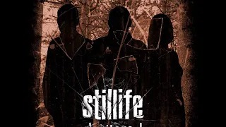 Stillife - Birds Of Passage