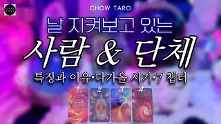 🦋 그 존재들의 등장 시기와 함께 이런 걸 하게 됩니다! 🔮