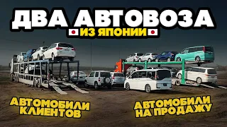 😱Целый автовоз с машинами на продажу‼️ Свежий привоз из Японии🇯🇵