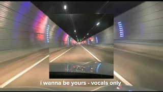 arctic monkey | i wanna be yours - vocals only!