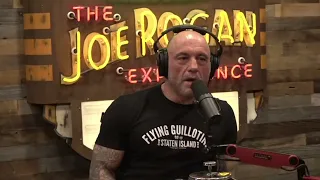 Joe Rogan - The science points in that direction - with Stephen C. Meyer