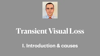 Transient Visual Loss. I. Introduction & Causes