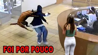 Animais Heróis Que Salvaram Vidas Humanas!