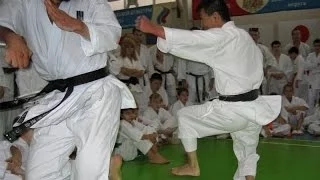 Karate Basics and Kihon Kumite by Mikio Yahara. Seminar in Mocow 2009 (part 1)
