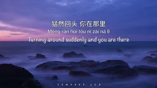 大海 Ocean [张雨生 Tom Chang] - Chinese, Pinyin & English Translation