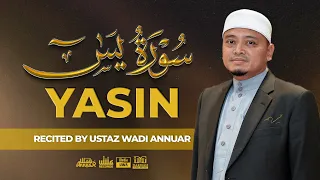 Surah Yasin سُورَةُ يس (Recited by Ustaz Wadi Annuar)