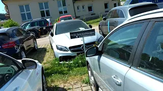 Gebrauchtwagentest Opel Signum