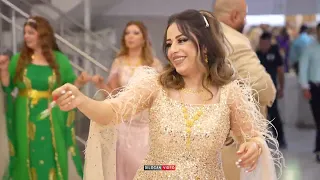 Aziz u Fehmi ( jack & beriwan ) part 2 Kurdische Hochzeitعزيز و فهمي 2023
