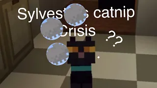 Talking kitty cat in Minecraft-61 Sylvesters catnip crisis