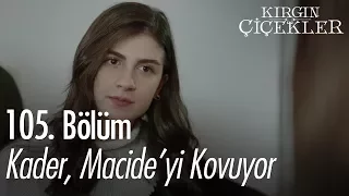 Kader, Macide'yi kovuyor.. - Kırgın Çiçekler 105. Bölüm