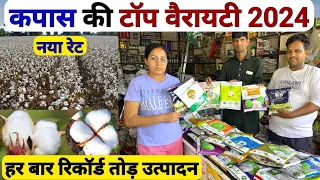 नरमा/कपास की सबसे अच्छी वैरायटी | Kapas ki Top Variety 2024 | kapas ki kheti | cotton seeds variety