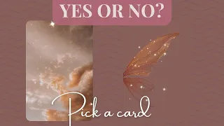 YES OR NO? & Why | Pick a card #tarot