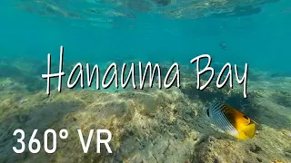 Snorkeling at Hanauma Bay (360 5K VR) | Oahu, Hawaii