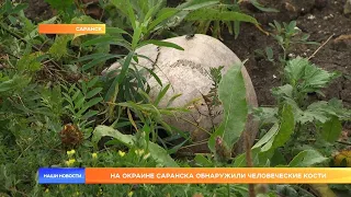 На окраине Саранска обнаружили человеческие кости