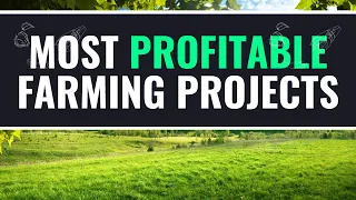 What Are The Most Profitable Farming Projects in Zimbabwe for Those in the Diaspora?