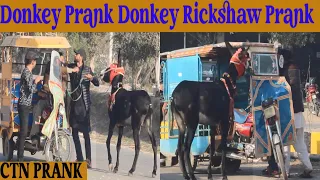 Donkey Prank| Donkey Rickshaw Prank 2021| CTN Donkey Prank|| CTN PRANK
