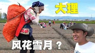 风花雪月的大理，她們负重前行！走入大理的乡村田野，老百姓过怎样的生活？Discover the Real Life of Rural Dali in China Yunnan Province 4K
