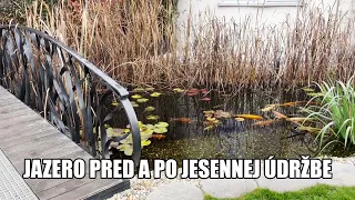 Koi jazierko pred a po jesennej údržbe