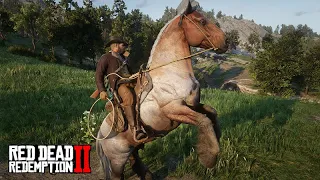 83 - Os CAVALOS dos CAÇADORES DE RECOMPENSAS - Red Dead Redemption 2