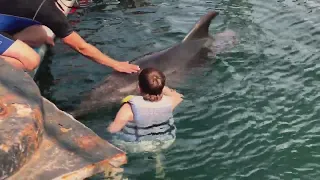 Купаемся с дельфинами. Крым, океанариум «Нептун»