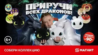 Акция магнит как приручить дракона 3 игрушки-подушки.