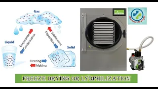 Freeze drying or Lyophilization in depth
